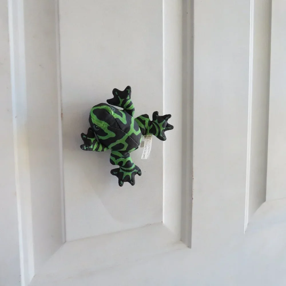 Wendys magnetic frog